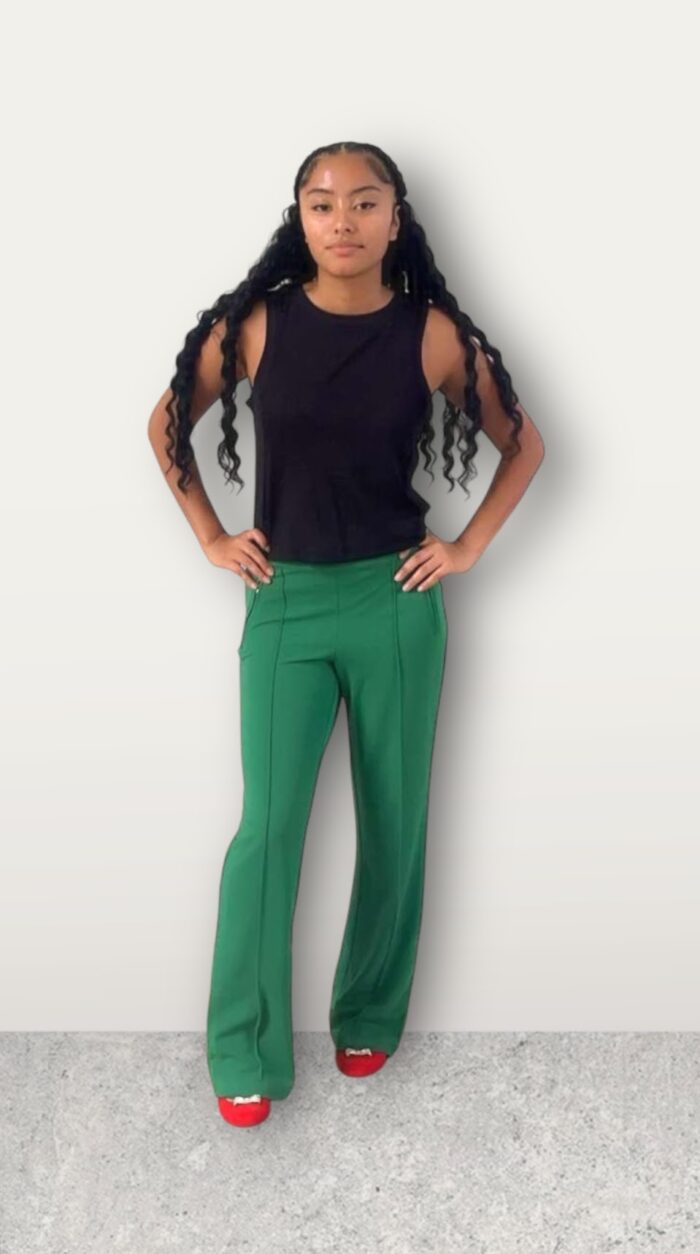Wide Leg Dress Pants